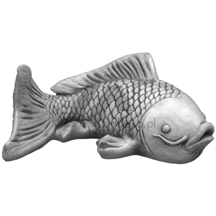 Žuvis – vandenį pilanti figūra