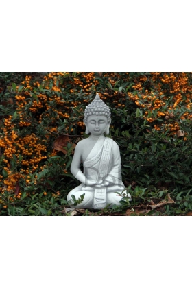 Jaunojo Budos meditacija